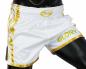 Preview: Fairtex Muay Thai Shorts Glory weiß BSG2